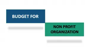 Budget for NGO
